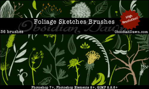 Flower_Sketches_Brushes